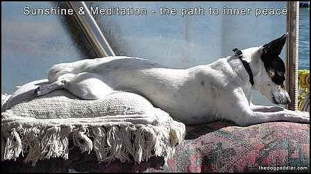081111_PennySunshine_Meditation_900x500_opt8ADV.jpg