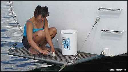 081113_Mai_cleaningfish_900x500_opt8ADV.jpg