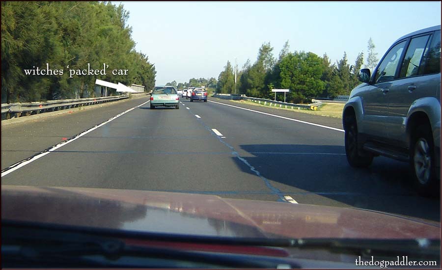 16DSC09529_900x550_opt5.jpg