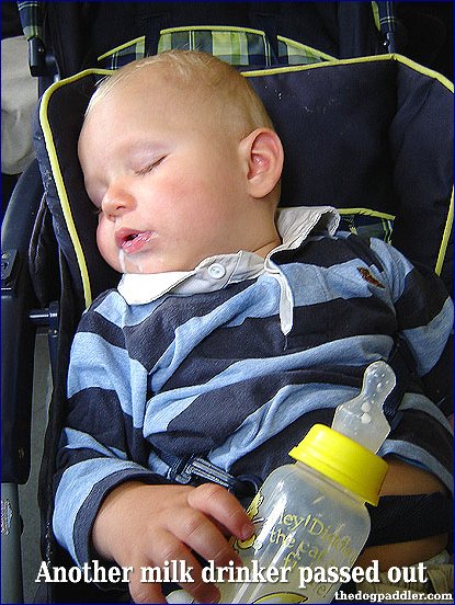 01_MilkDrinker_onTrain.jpg