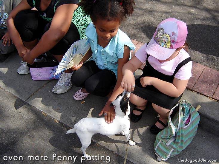 25_070901_DSC01390_StMarysSpringFestival_evenmorePennyPatting_733x550_opt6ADV.jpg