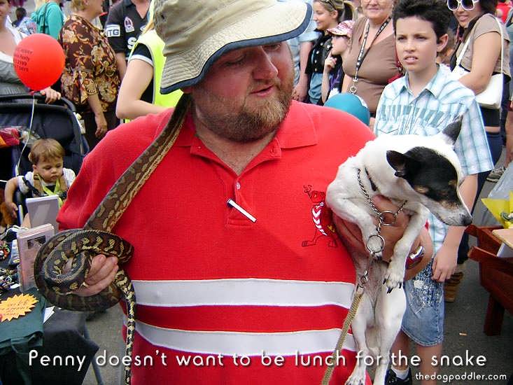 38_070901_DSC01428_StMarysSpringFestival_Lunch_fortheSnake_733x550_opt6ADV.jpg
