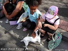 25_070901_DSC01390_StMarysSpringFestival_evenmorePennyPatting_733x550_opt6ADV.jpg
