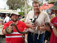 37_070901_DSC01427_StMarysSpringFestival_SnakesLizards_733x550_opt6ADV.jpg