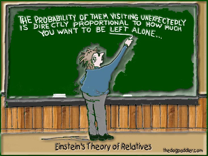 29Einstein_733x550_opt6.jpg