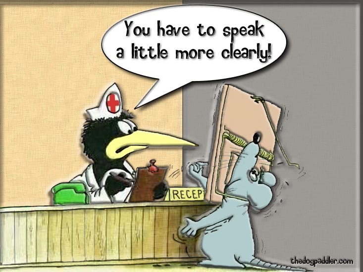 32SpeakMoreClearly_733x550_opt5.jpg