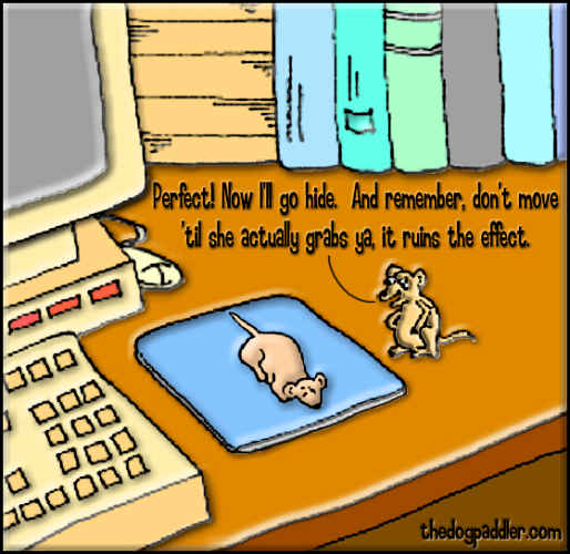 37aNewMouse.jpg