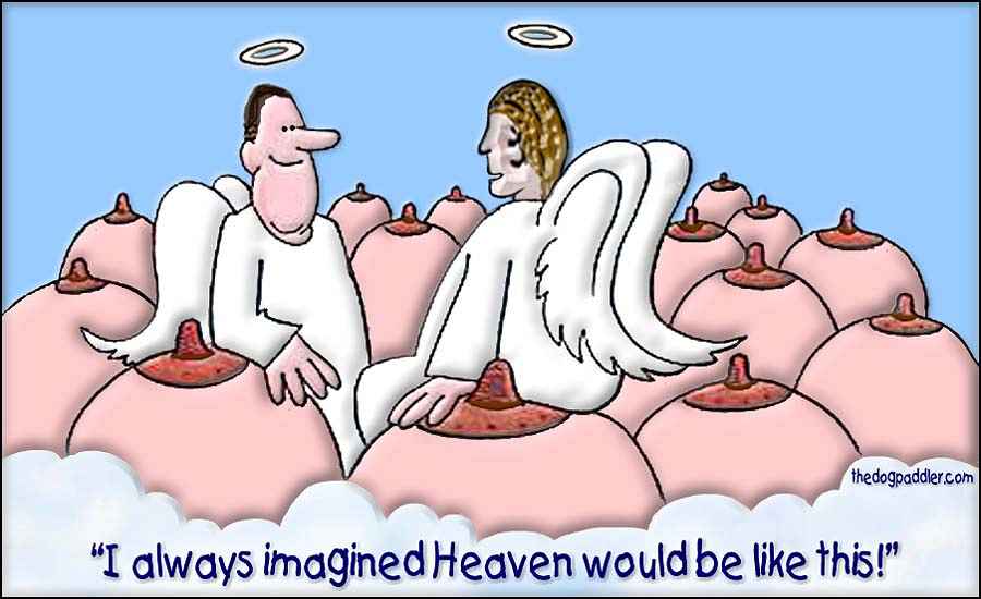 40Trouble_inHeaven.jpg