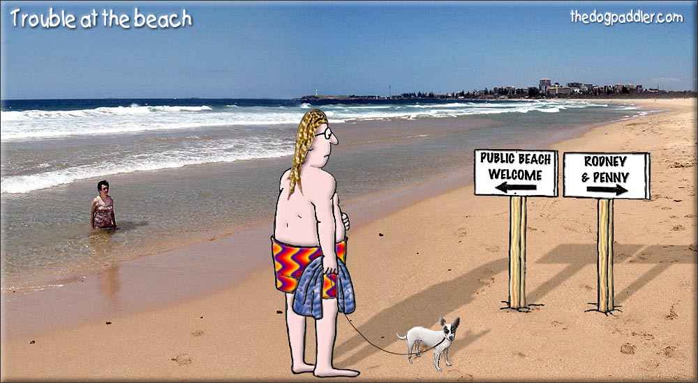 58Trouble_at_theBeach.jpg