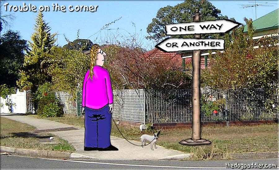 081Trouble_on_theCorner.jpg